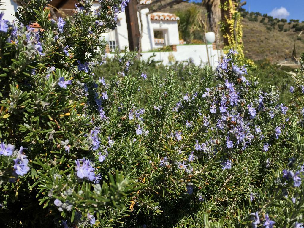 La Casa del Burro Nerja Exterior foto