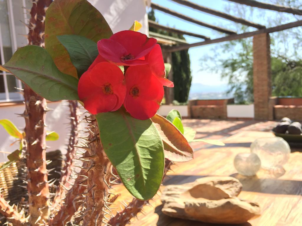 La Casa del Burro Nerja Exterior foto